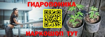 синтетический гашиш Заводоуковск